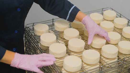 Wisconsin’s Cheese Economy Offers Opportunity for Relocators and Job Seekers (Featured)